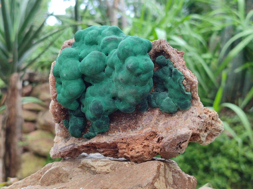 Natural Ball Malachite On Dolomite Specimens x 2 From Mindingi Mine, Kambove, Congo - Toprock Gemstones and Minerals 