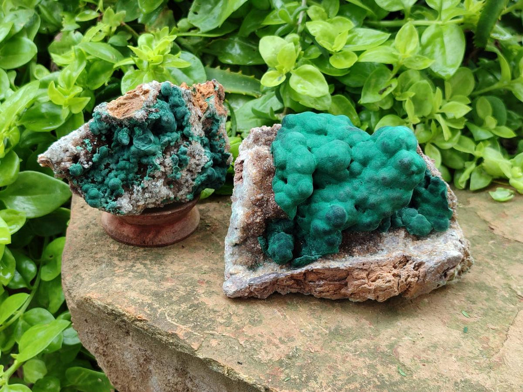 Natural Ball Malachite On Dolomite Specimens x 2 From Mindingi Mine, Kambove, Congo - Toprock Gemstones and Minerals 