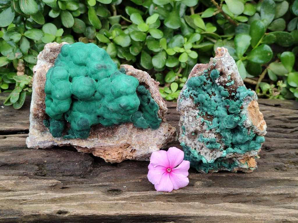 Natural Ball Malachite On Dolomite Specimens x 2 From Mindingi Mine, Kambove, Congo - Toprock Gemstones and Minerals 