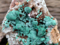 Natural Ball Malachite On Dolomite Specimens x 2 From Mindingi Mine, Kambove, Congo