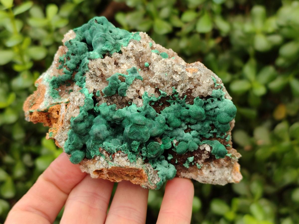 Natural Ball Malachite On Dolomite Specimens x 2 From Mindingi Mine, Kambove, Congo