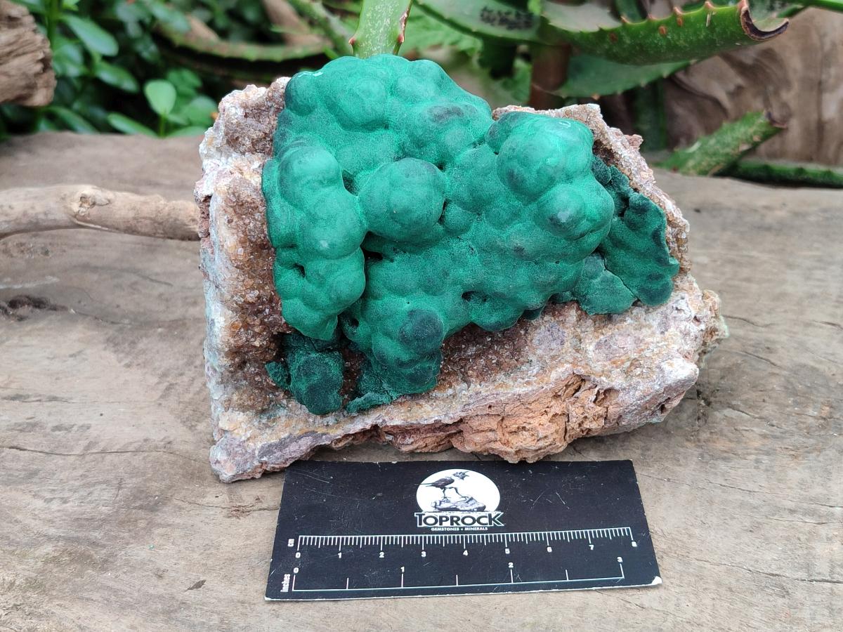 Natural Ball Malachite On Dolomite Specimens x 2 From Mindingi Mine, Kambove, Congo - Toprock Gemstones and Minerals 