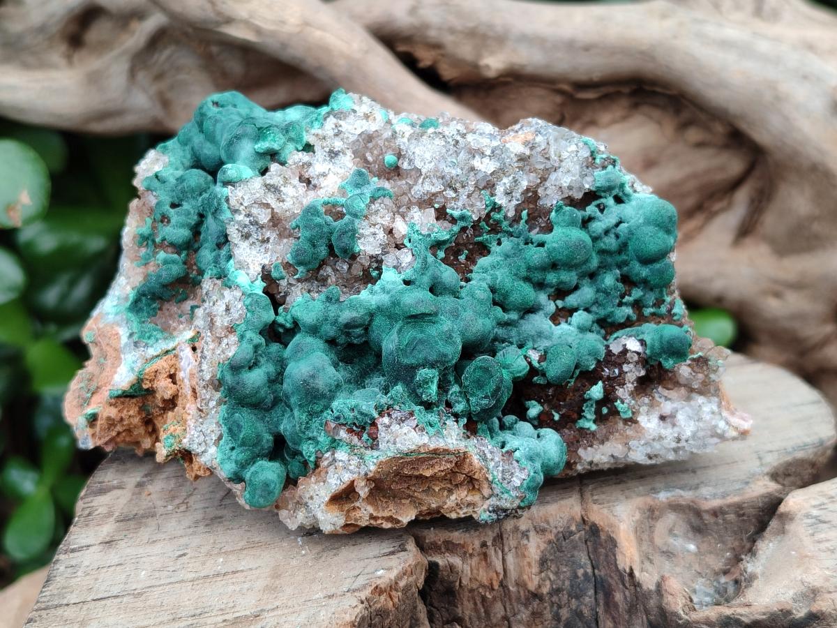 Natural Ball Malachite On Dolomite Specimens x 2 From Mindingi Mine, Kambove, Congo - Toprock Gemstones and Minerals 
