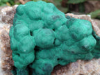 Natural Ball Malachite On Dolomite Specimens x 2 From Mindingi Mine, Kambove, Congo - Toprock Gemstones and Minerals 