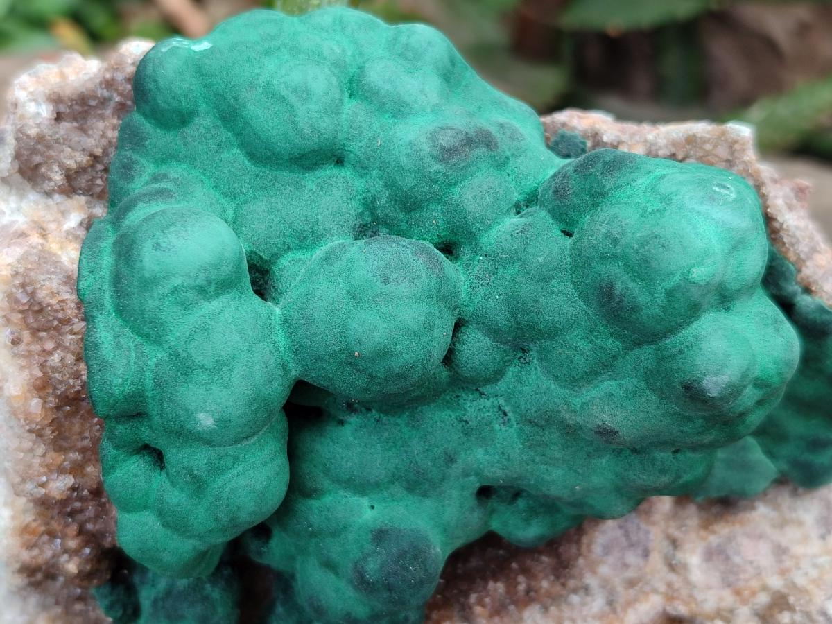 Natural Ball Malachite On Dolomite Specimens x 2 From Mindingi Mine, Kambove, Congo