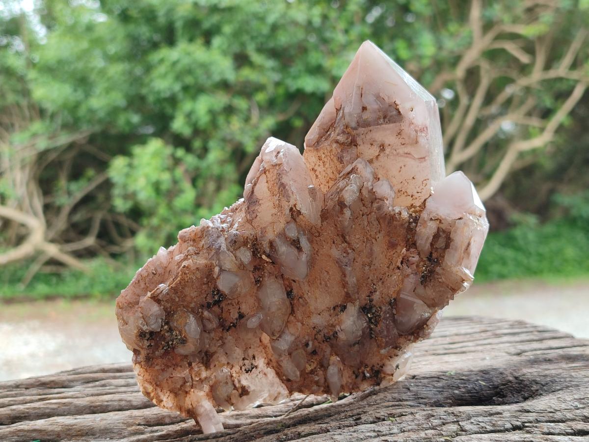 Natural Mix Of Multi Mineral Specimens x 6 From Southern Africa