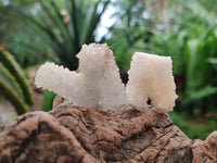 Natural Drusy Snow Finger Crystals x 20 From Albert's Mountain, Lesotho