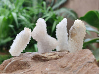 Natural Drusy Snow Finger Crystals x 20 From Albert's Mountain, Lesotho
