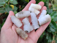 Natural Drusy Snow Finger Crystals x 20 From Albert's Mountain, Lesotho