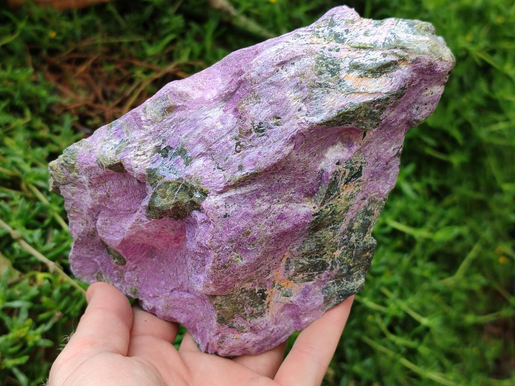 Natural Stichtite Cobbed Specimens x 2 From Barberton, South Africa