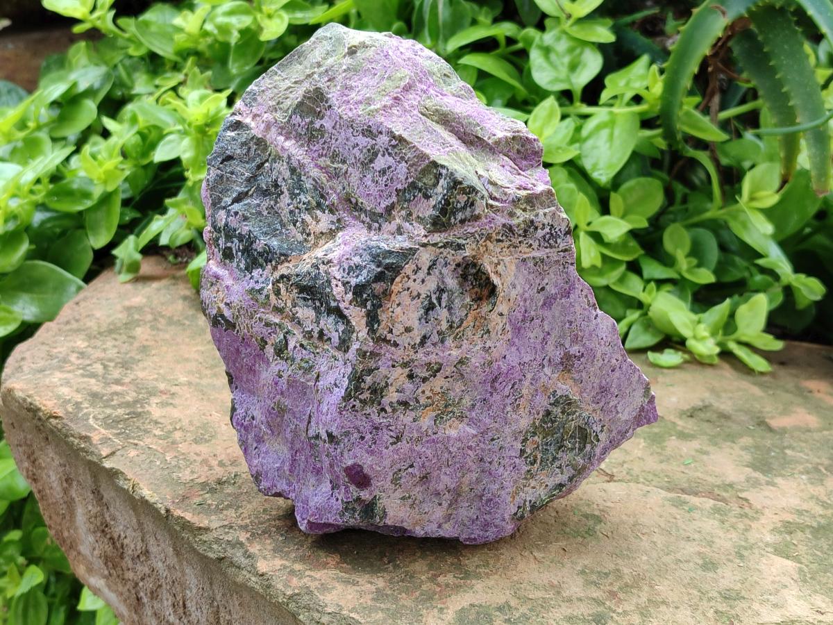 Natural Stichtite Cobbed Specimens x 2 From Barberton, South Africa