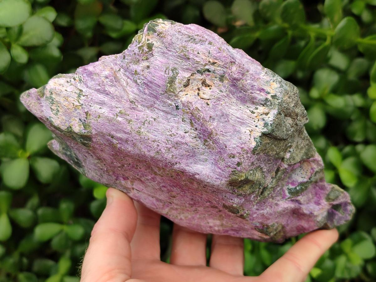 Natural Stichtite Cobbed Specimens x 2 From Barberton, South Africa