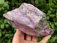 Natural Stichtite Cobbed Specimens x 2 From Barberton, South Africa