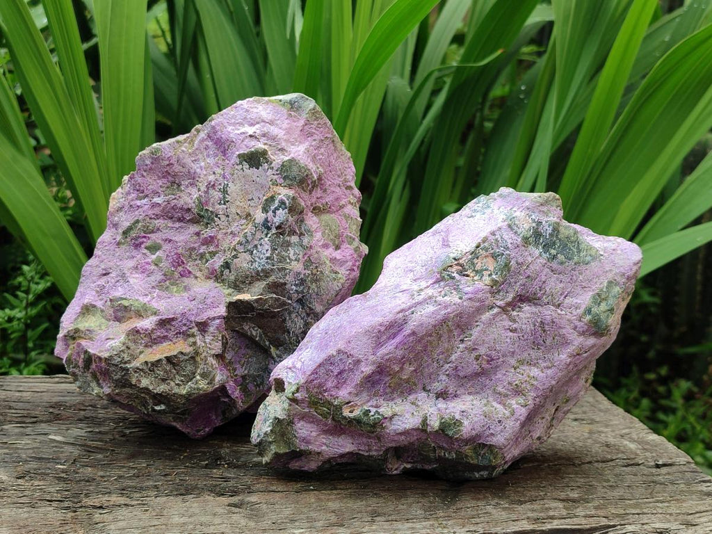 Natural Stichtite Cobbed Specimens x 2 From Barberton, South Africa