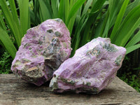 Natural Stichtite Cobbed Specimens x 2 From Barberton, South Africa