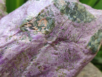 Natural Stichtite Cobbed Specimens x 2 From Barberton, South Africa