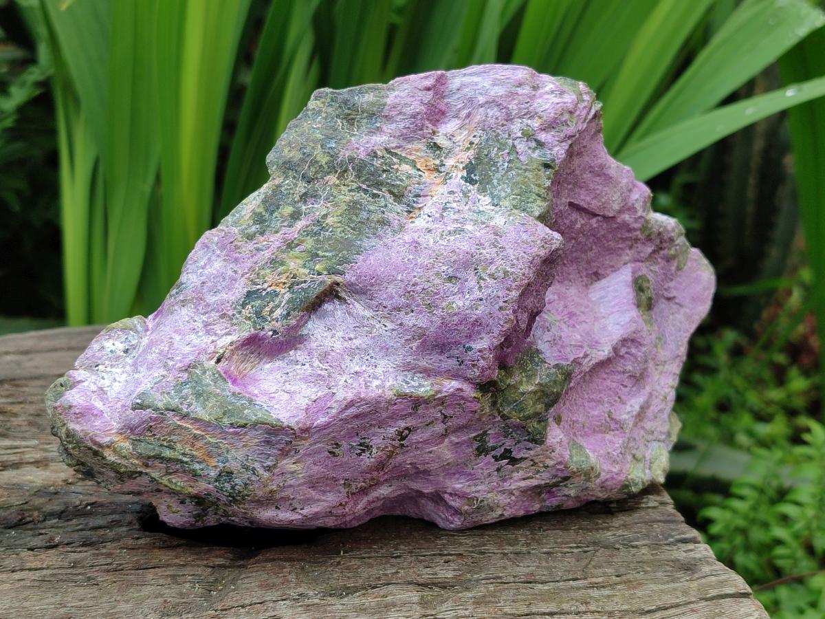 Natural Stichtite Cobbed Specimens x 2 From Barberton, South Africa