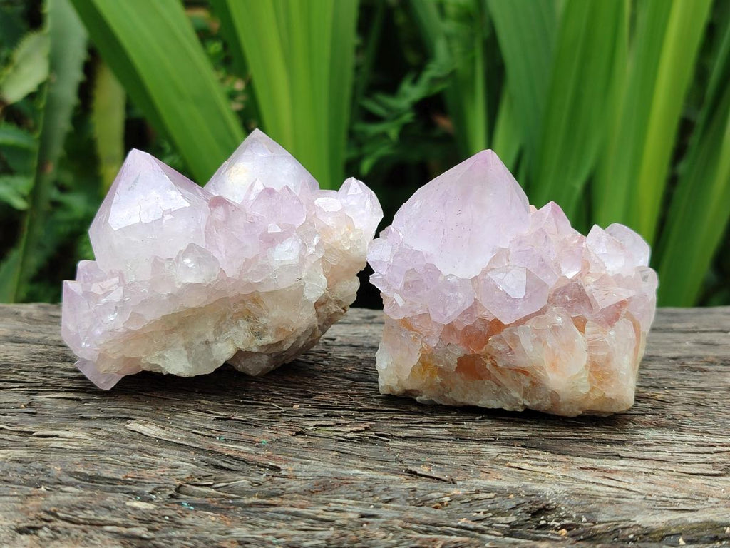 Natural Sunburst Amethyst Spirit Clusters x 6 From Boekenhouthoek, South Africa