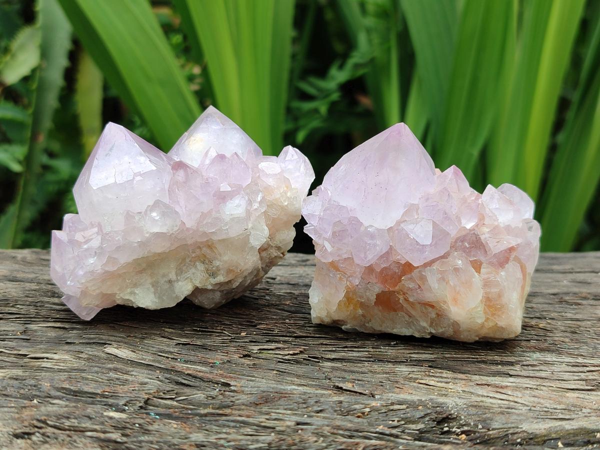 Natural Sunburst Amethyst Spirit Clusters x 6 From Boekenhouthoek, South Africa