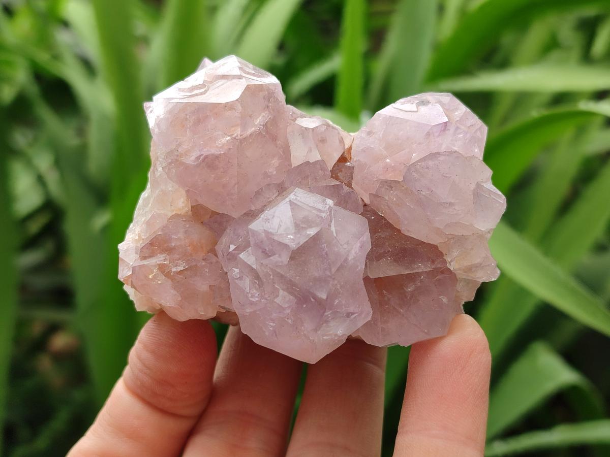 Natural Sunburst Amethyst Spirit Clusters x 6 From Boekenhouthoek, South Africa