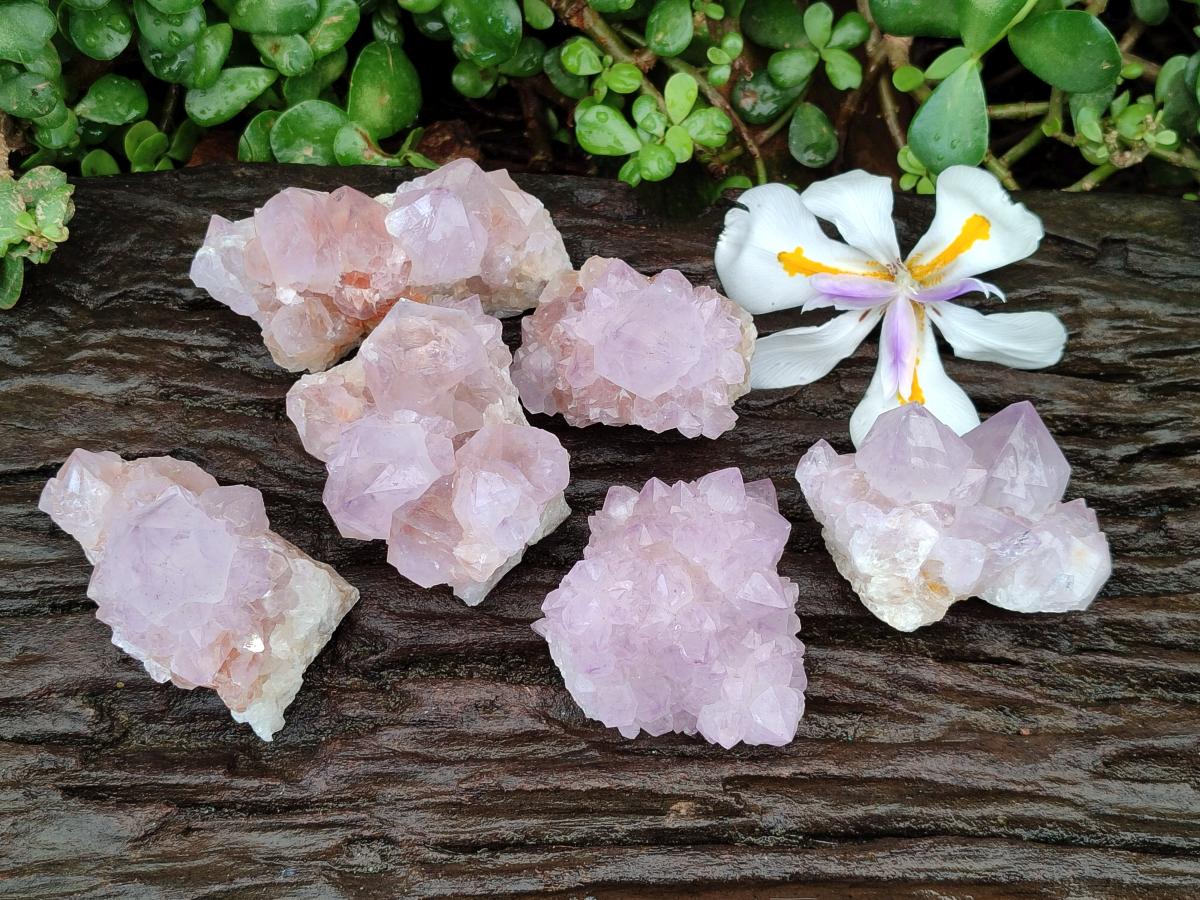 Natural Sunburst Amethyst Spirit Clusters x 6 From Boekenhouthoek, South Africa