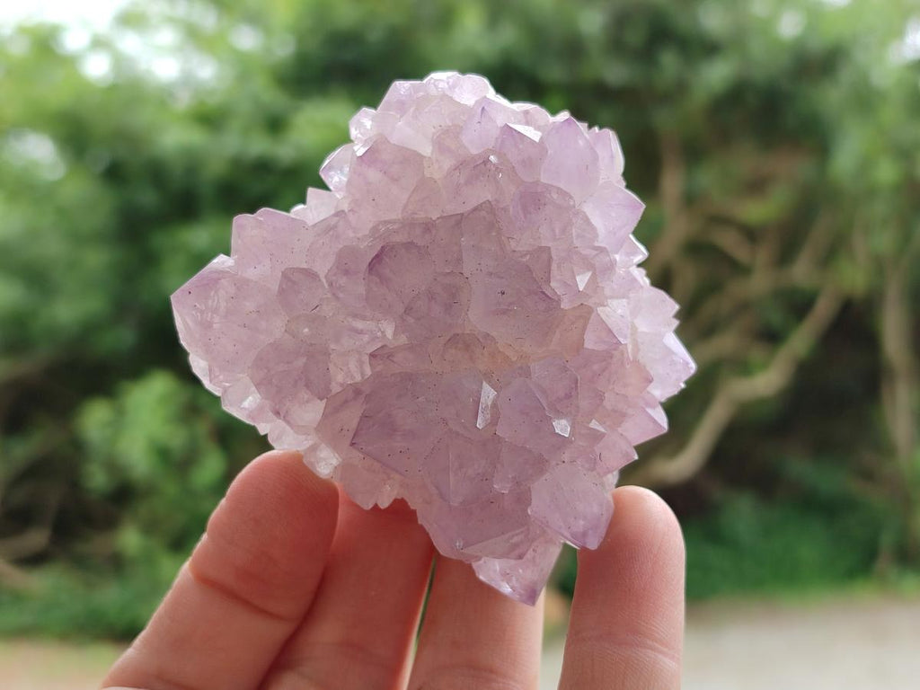 Natural Sunburst Amethyst Spirit Clusters x 6 From Boekenhouthoek, South Africa