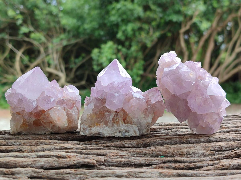 Natural Sunburst Amethyst Spirit Clusters x 6 From Boekenhouthoek, South Africa