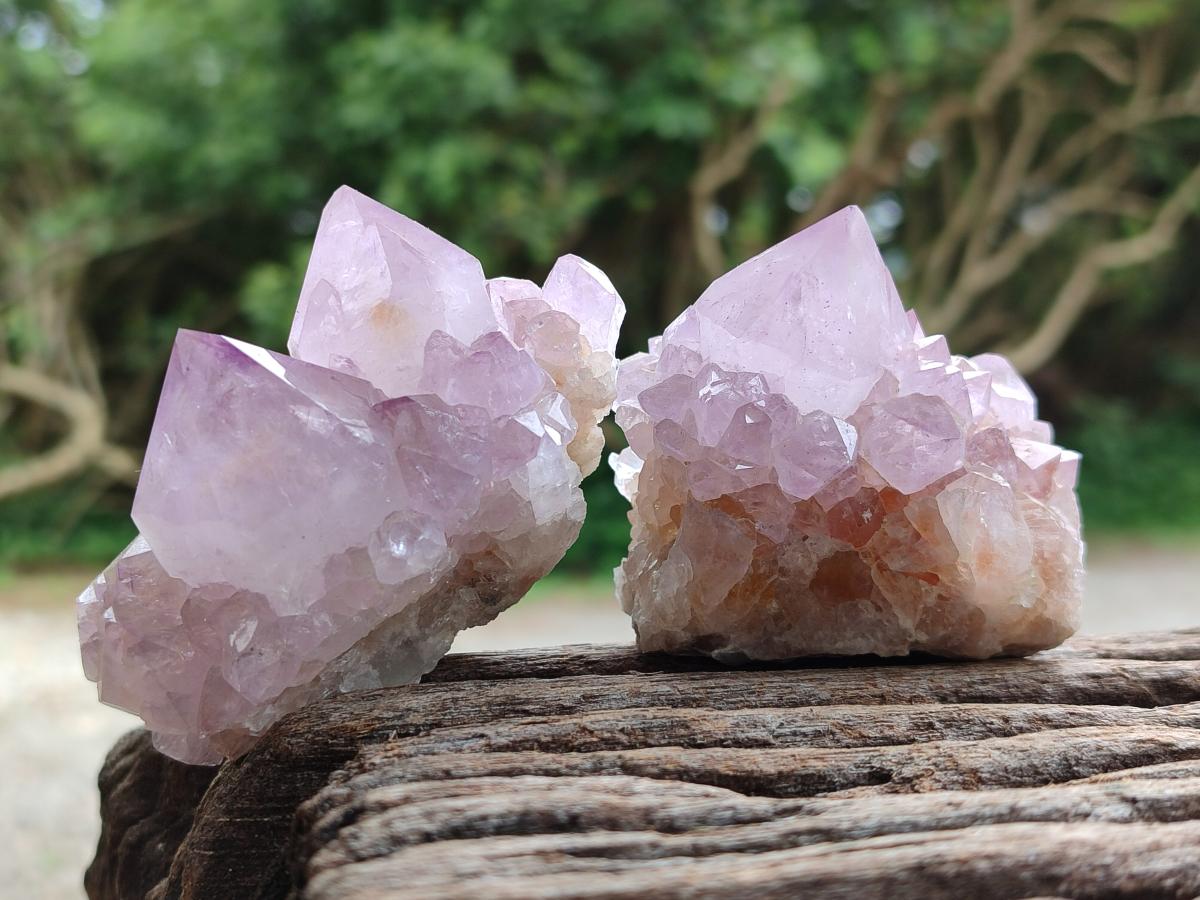 Natural Sunburst Amethyst Spirit Clusters x 6 From Boekenhouthoek, South Africa