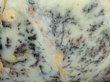 Polished Dendritic Opal Palm Stones x 12 From Moralambo, Madagascar