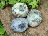 Polished Dendritic Opal Palm Stones x 12 From Moralambo, Madagascar