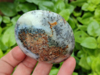 Polished Dendritic Opal Palm Stones x 12 From Moralambo, Madagascar