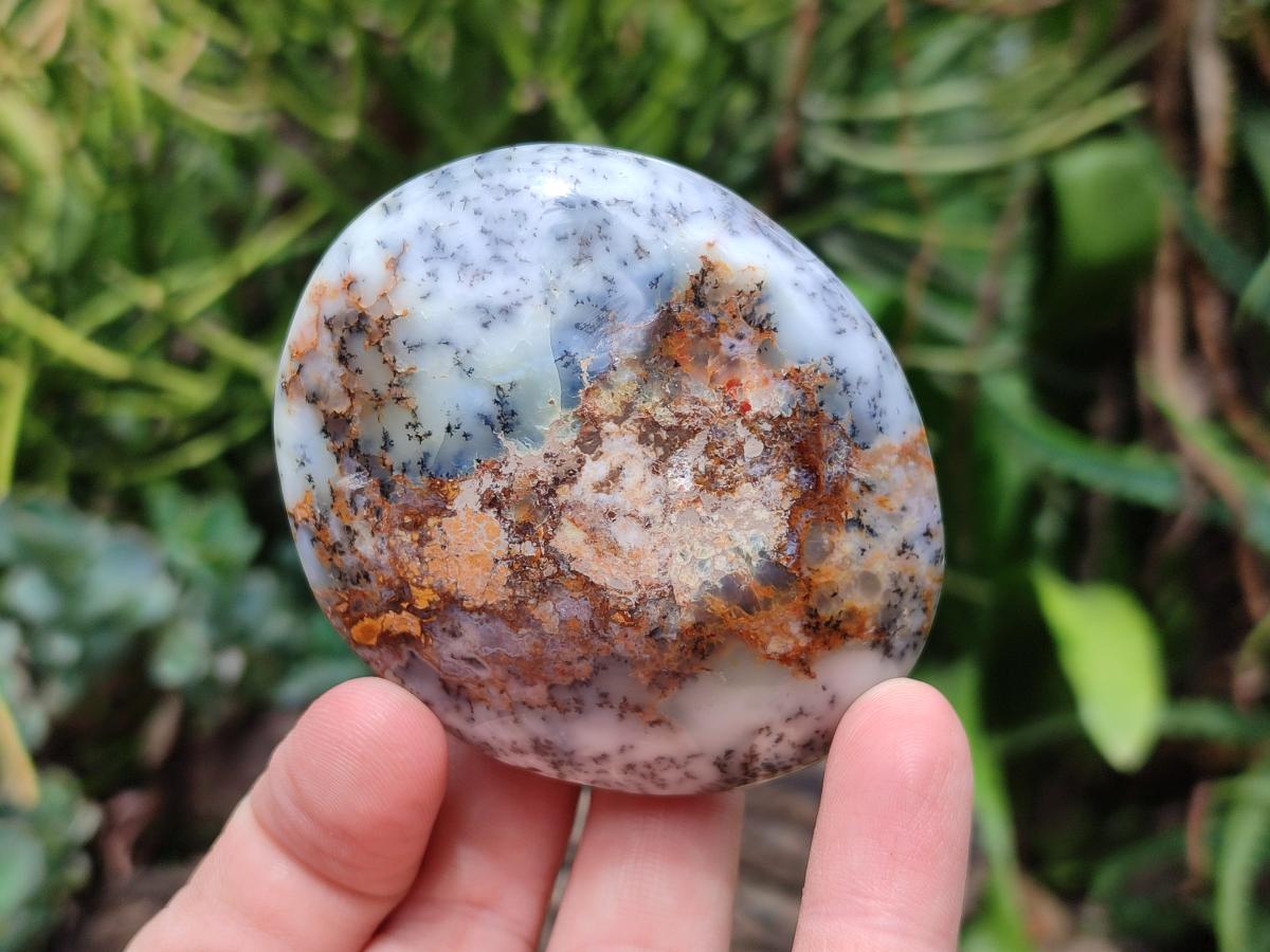 Polished Dendritic Opal Palm Stones x 12 From Moralambo, Madagascar