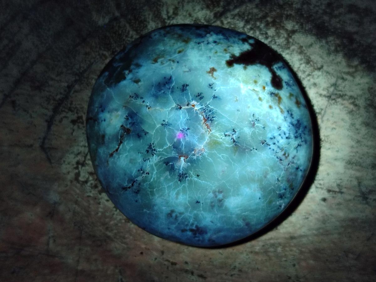 Polished Dendritic Opal Palm Stones x 12 From Moralambo, Madagascar