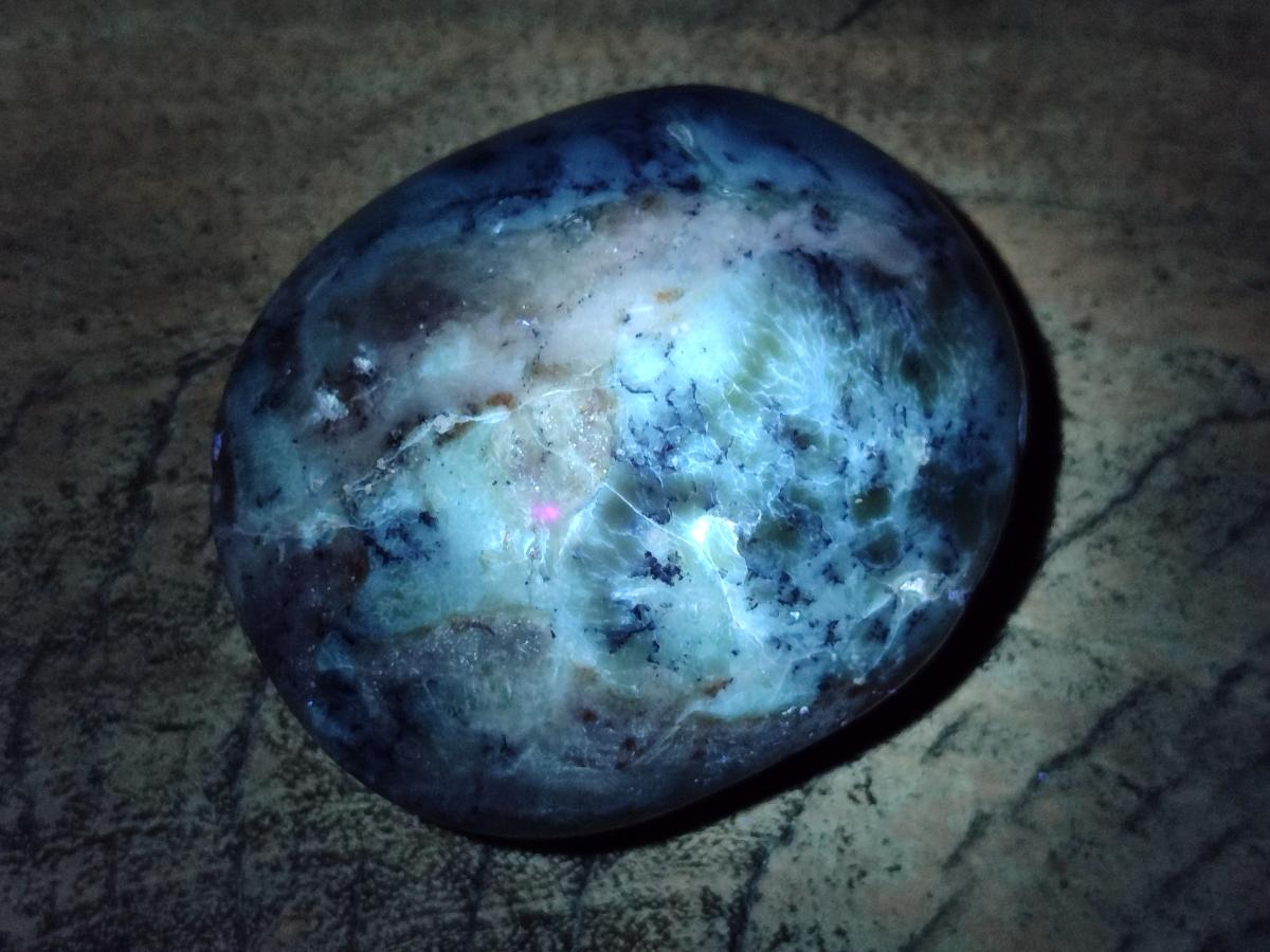 Polished Dendritic Opal Palm Stones x 12 From Moralambo, Madagascar