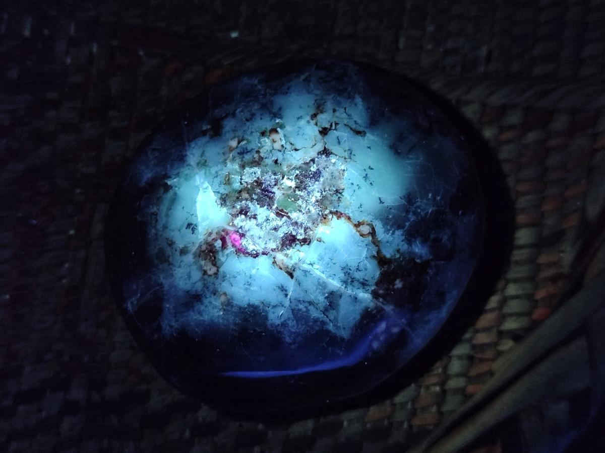 Polished Dendritic Opal Palm Stones x 12 From Moralambo, Madagascar