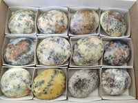 Polished Dendritic Opal Palm Stones x 12 From Moralambo, Madagascar