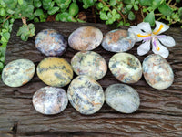 Polished Dendritic Opal Palm Stones x 12 From Moralambo, Madagascar