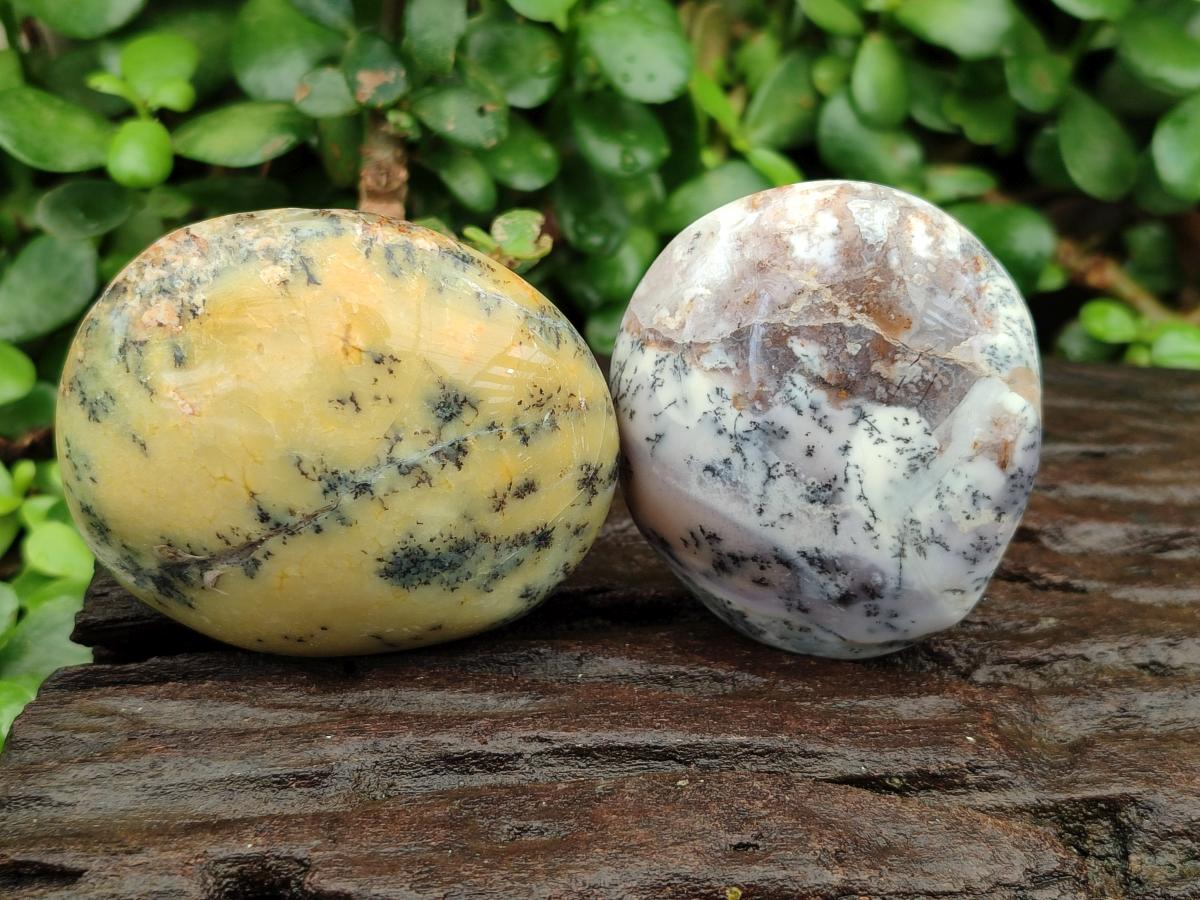 Polished Dendritic Opal Palm Stones x 12 From Moralambo, Madagascar