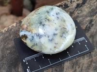 Polished Dendritic Opal Palm Stones x 12 From Moralambo, Madagascar