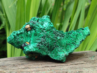 Natural Silky Malachite Specimens x 2 From Kasompe, Congo