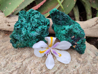Natural Silky Malachite Specimens x 2 From Kasompe, Congo