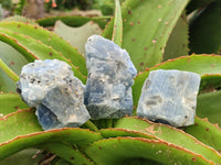 Natural Sky Blue Calcite Specimens x 12 From Namibia