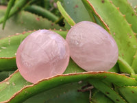 Polished Rose Quartz Palm Stones x 20 From Madagascar