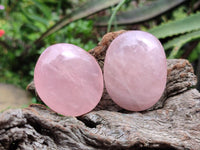 Polished Rose Quartz Palm Stones x 20 From Madagascar