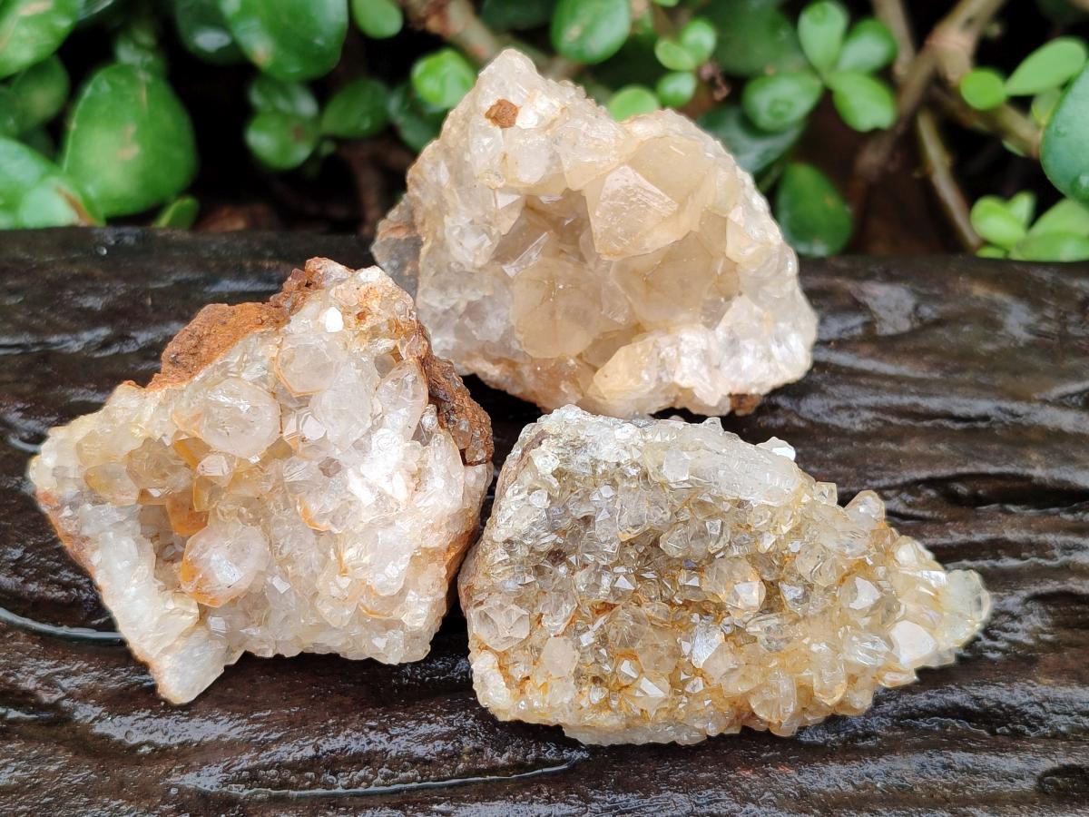 Natural Limonite Quartz Clusters x 24 From Solwezi, Zambia - Toprock Gemstones and Minerals 