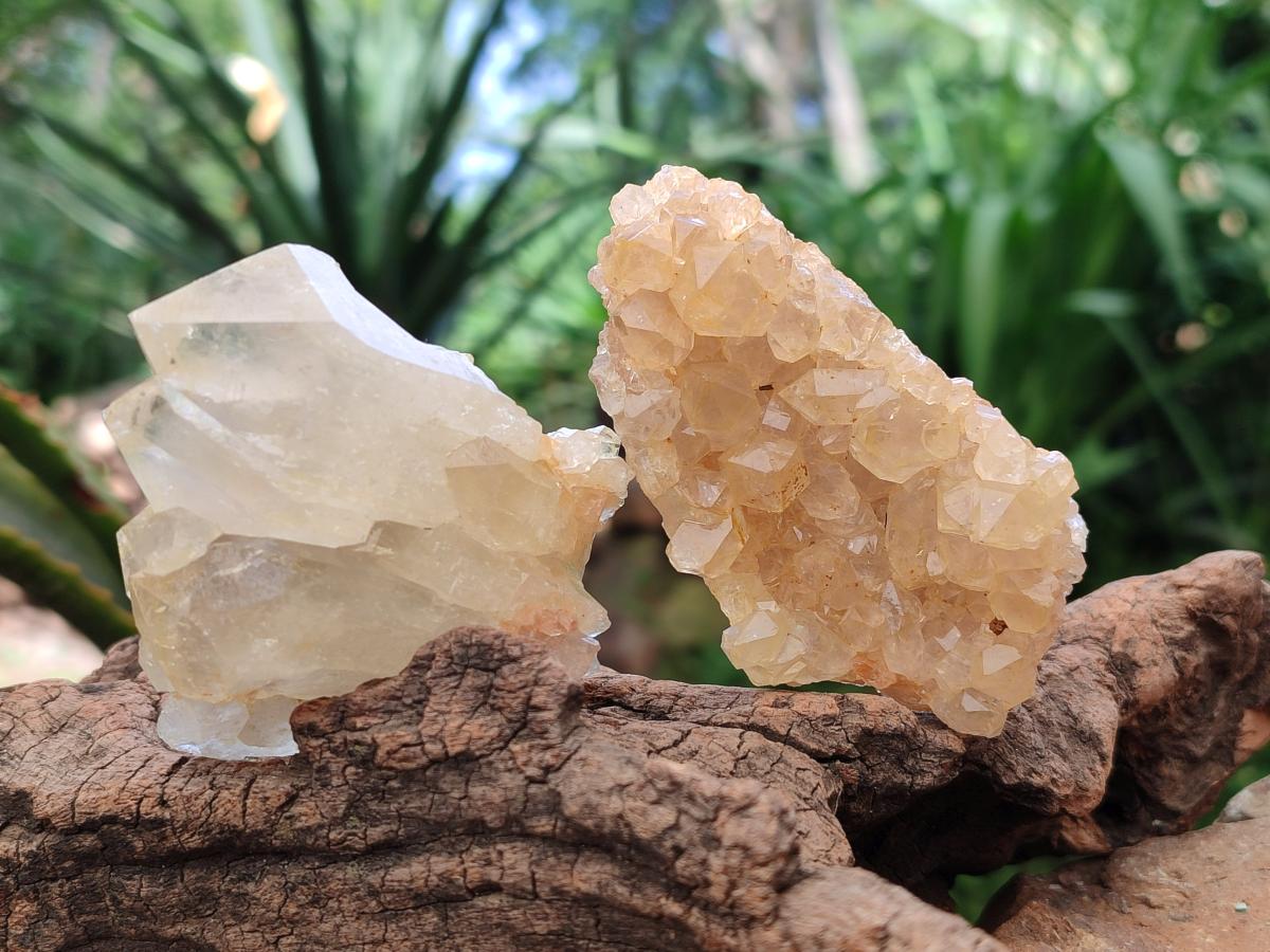 Natural Limonite Quartz Clusters x 24 From Solwezi, Zambia - Toprock Gemstones and Minerals 