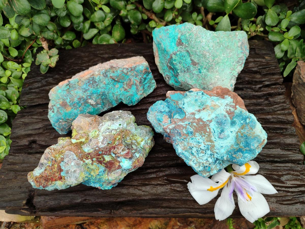 Natural Shattuckite Cobbed Pieces x 4 From Kaokoveld, Namibia