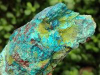 Natural Shattuckite Cobbed Pieces x 4 From Kaokoveld, Namibia