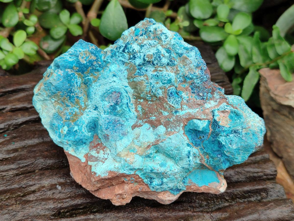 Natural Shattuckite Cobbed Pieces x 4 From Kaokoveld, Namibia