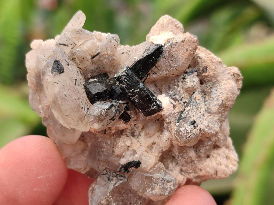 Natural Schorl Black Tourmaline Specimens x 27 From Erongo, Namibia